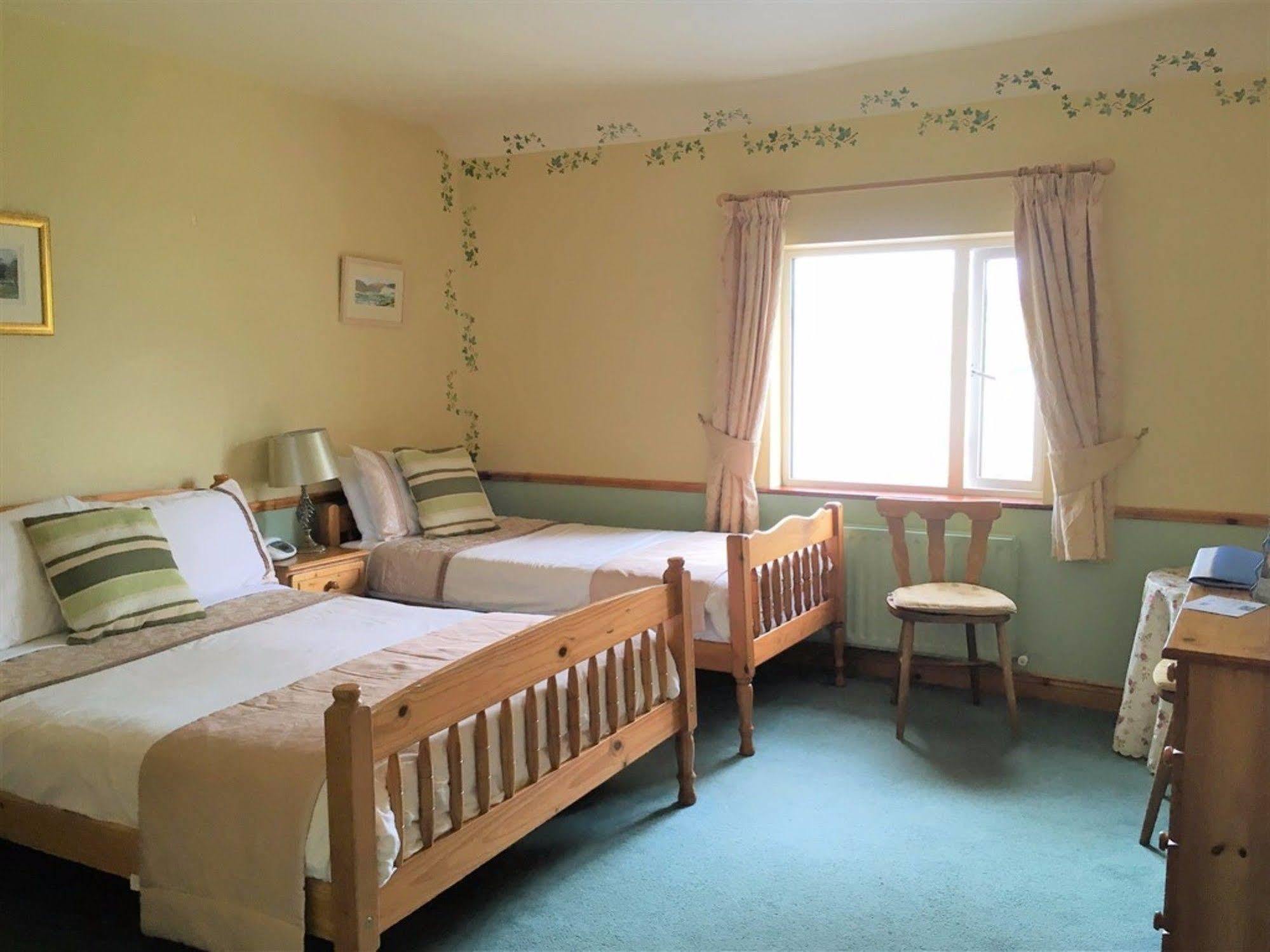 O'Connor'S Guest House Dingle Eksteriør billede